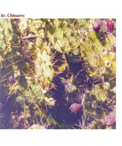 Sr. Chinarro (DEBUT) Vinyl Record $10.37 Vinyl